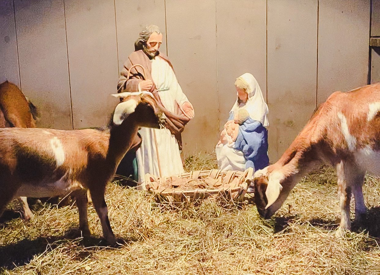 A Brain Tumor and the Face of Baby Jesus – A Joyful Christmas Story