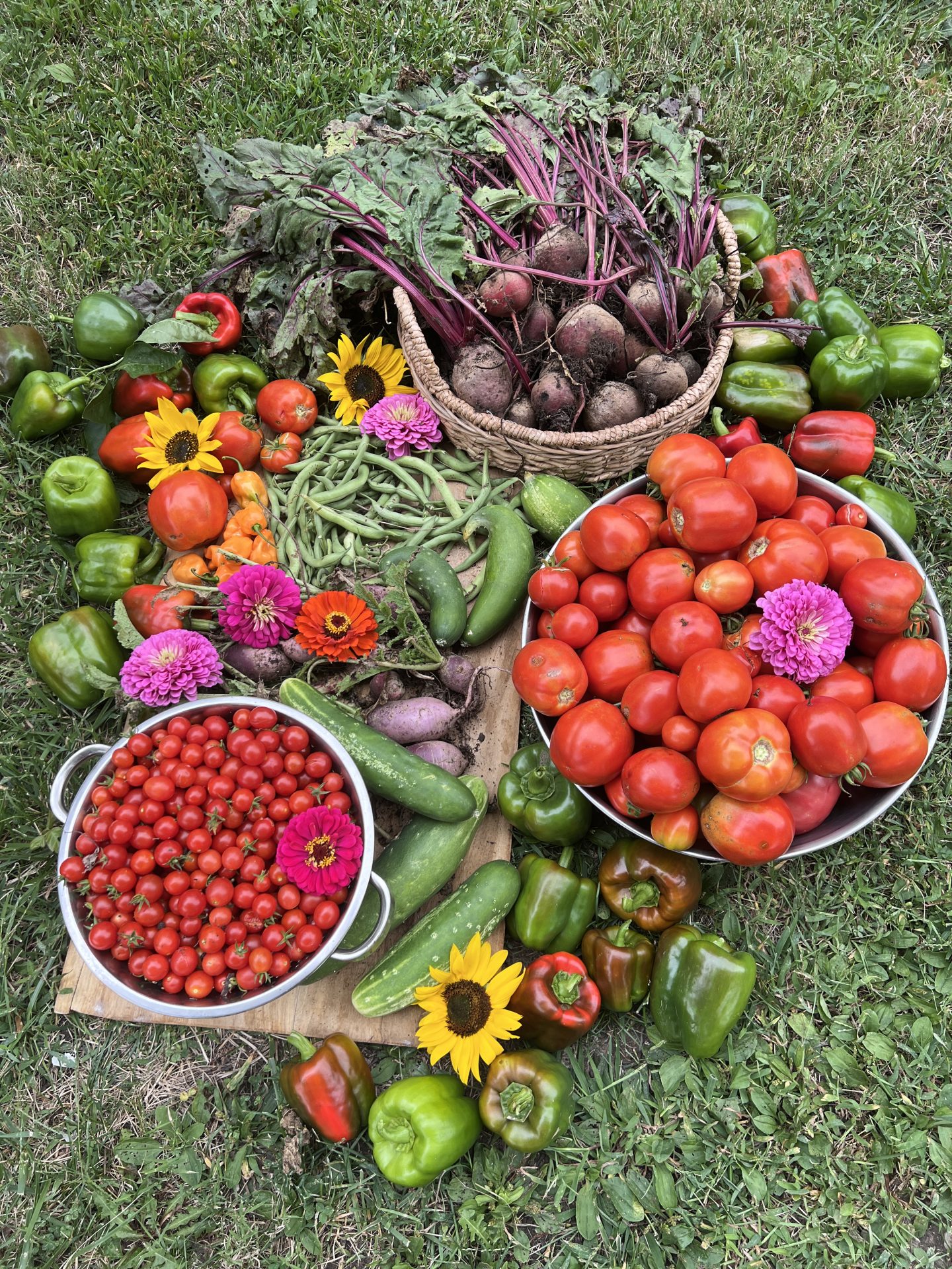 5 Ways to Become Self-sufficient and Improve Food Security